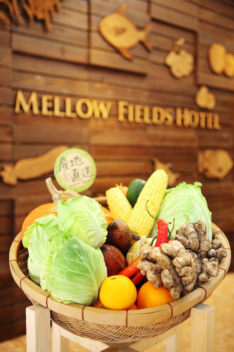 Mellow Fields Hotel Taipei Exterior photo